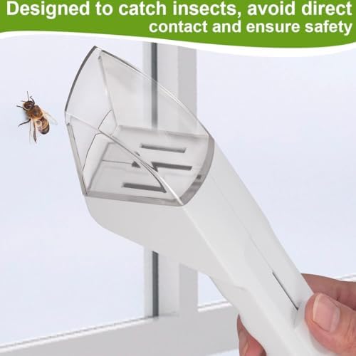 Insect Catch Easy to Catch e Osservare - Trappola per Piccole Pregarie - Ideale per Casa e Giardino, Respirabile e Effic