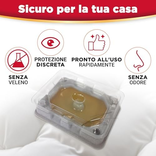 Catchmaster 4 x Misure di Controllo delle Pedine del Letto | 7 cm x 5 cm | Prevenzione e Detuttione dell'Infezionamento